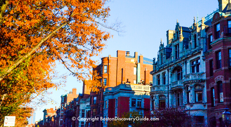 Fall foliage along Commonwealth Avenue in mid-November in Boston Fall foliage along Commonwealth Avenue in mid-November in Boston