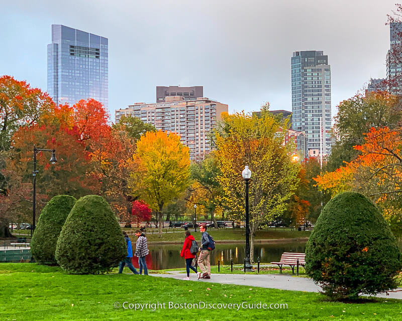 Colorful foliage at Boston Public Garden in the fall 