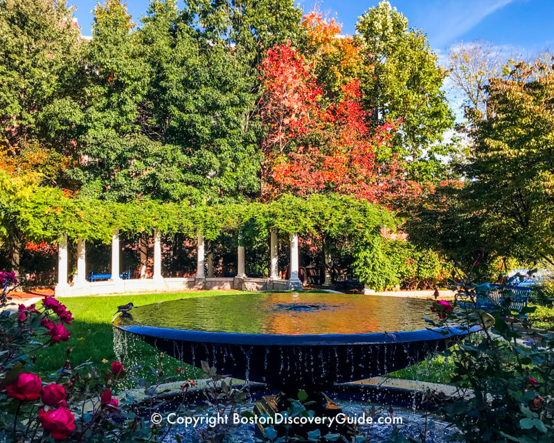 Crimson leaves in the Victory Gardens in Boston's Back Bay Fens