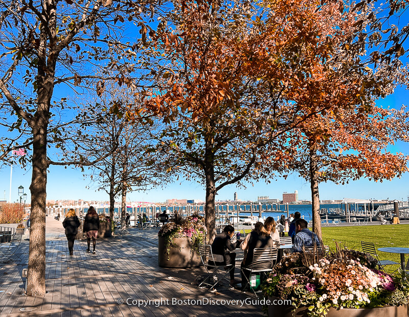 This fall foliage on the Seaport waterfront is still colorful in late November This fall foliage on the Seaport waterfront is still colorful in late November