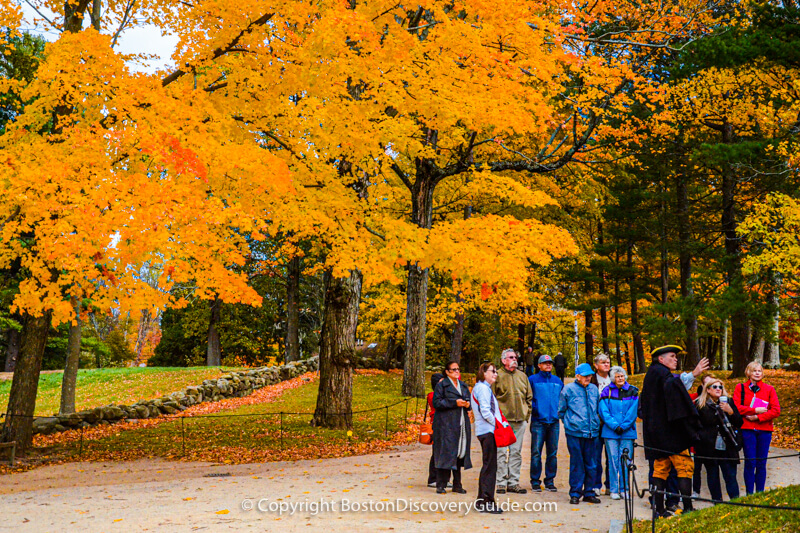Fall foliage tours from Boston