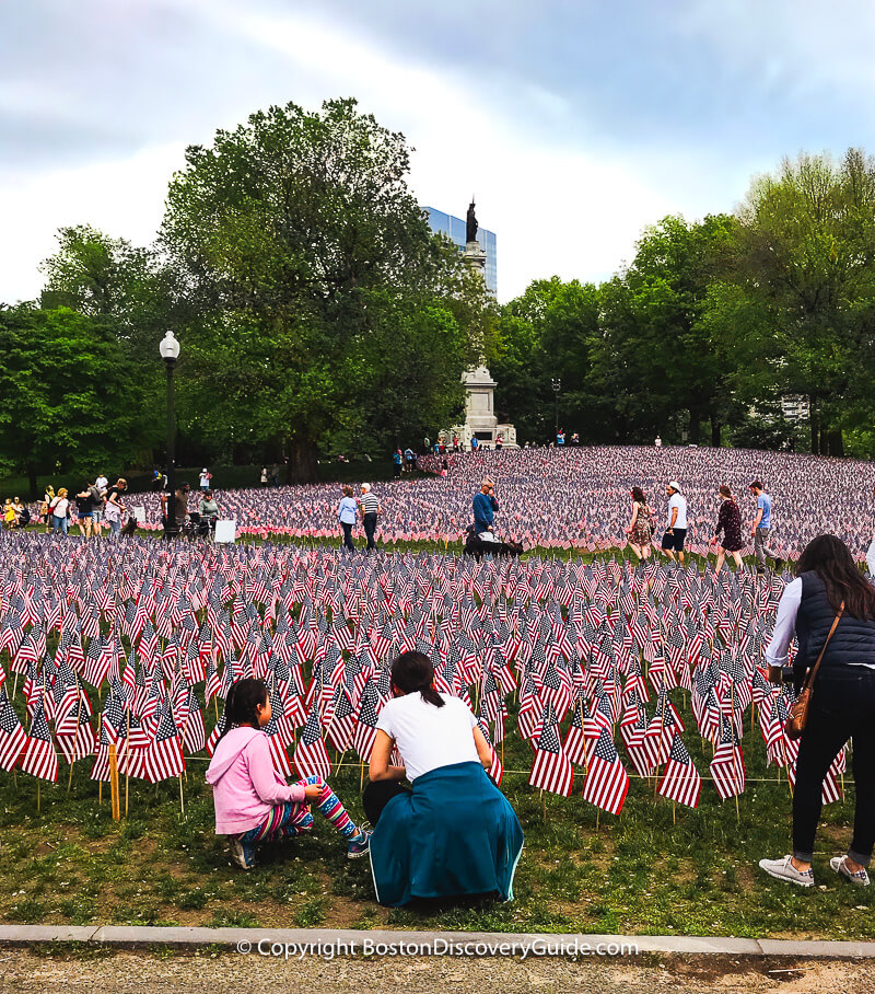 Garden of Flags on Boston Common on Memorial Day Weekend