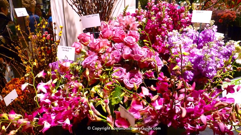 Boston Flower and Garden show - spring flowers Boston Flower and Garden show - spring flowers