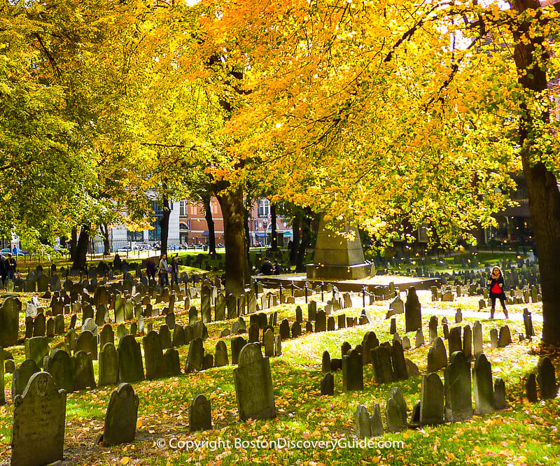 Halloween Boston Events 2023 Ghosts, Parties, Tours, Witches Boston Discovery Guide