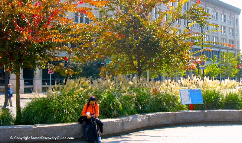Crimson leaves and golden ornamental grass along the Chinatown section of the Greenway