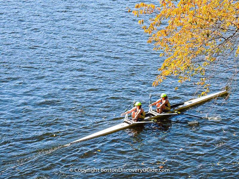 Head of the Charles Regatta 