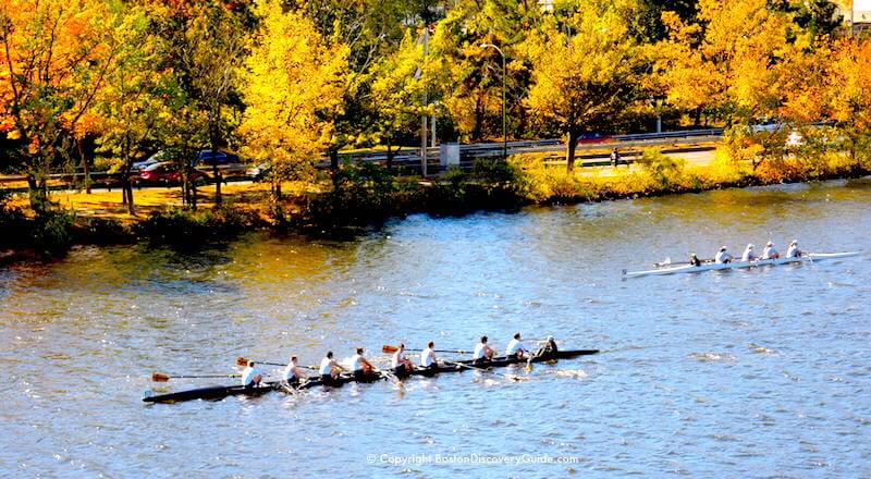 Crew teams with fall foliage along Storrow Drive in the background Crew teams with fall foliage along Storrow Drive in the background