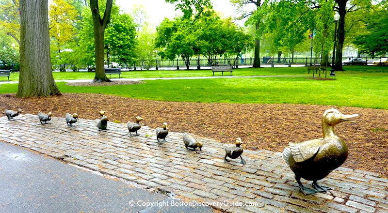 Make Way For Ducklings Boston Discovery Guide