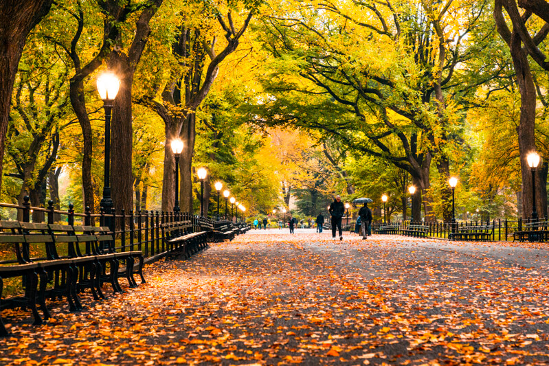 New York's Central Park in the fall New York's Central Park in the fall