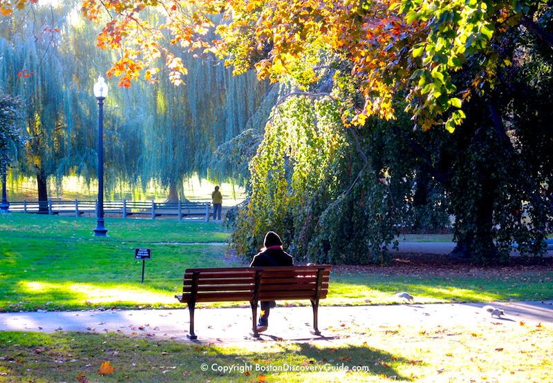 Quiet scene near the Lagoon in the Public Garden