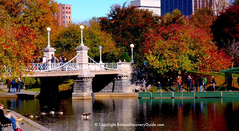 Boston Weather In October What To Expect Boston Discovery Guide