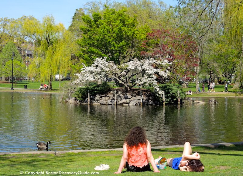 Looking toward Duck Island in the Lagoon in the Public Garden