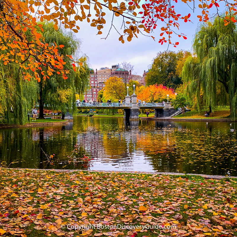 Fall foliage around the Lagoon in Boston's Public Garden Fall foliage around the Lagoon in Boston's Public Garden