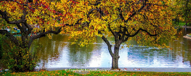 Boston Public Garden - fall foliage