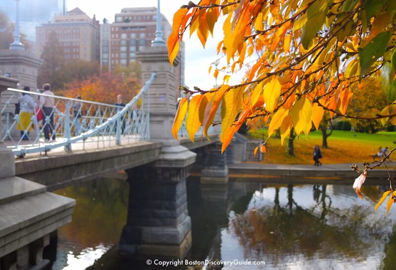 Boston Weather in November What to Expect Boston Discovery Guide