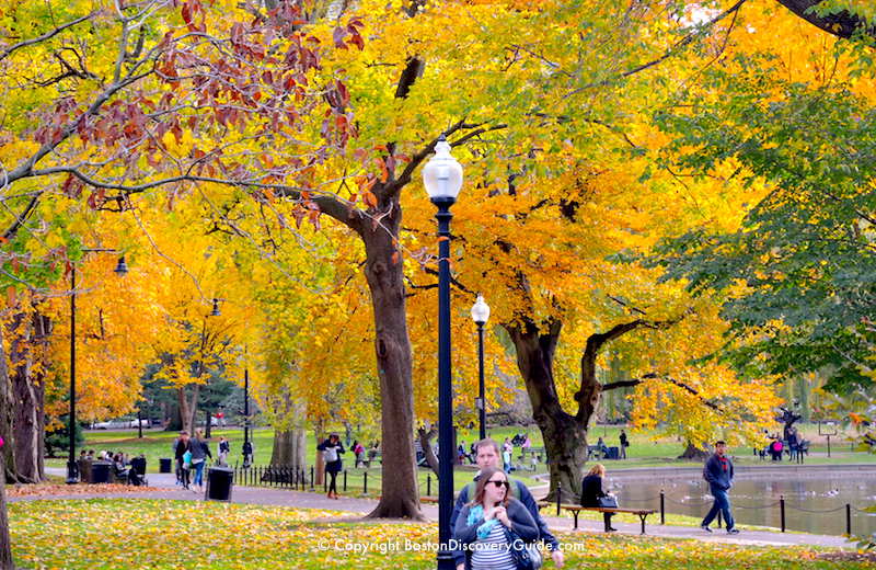 Boston's Public Garden in October - across from the Boston Park Plaza Hotel