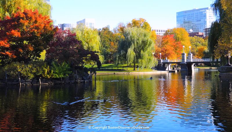 Colorful foliage surrounding the Lagoon in Boston's Public Garden Colorful foliage surrounding the Lagoon in Boston's Public Garden