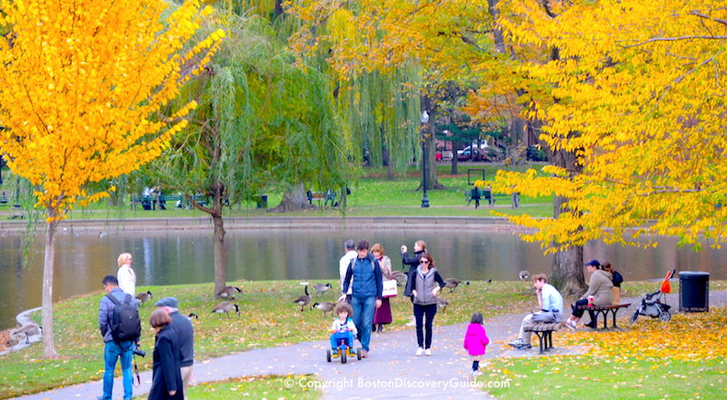 Boston Weather Seasons | Activities, Packing Tips | Boston Discovery Guide