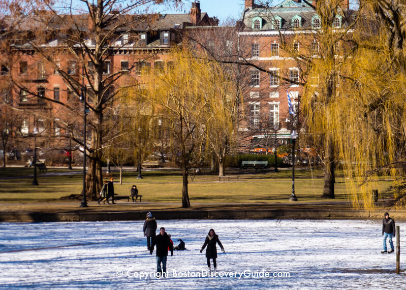 Public Garden's Lagoon in winter Public Garden's Lagoon in winter