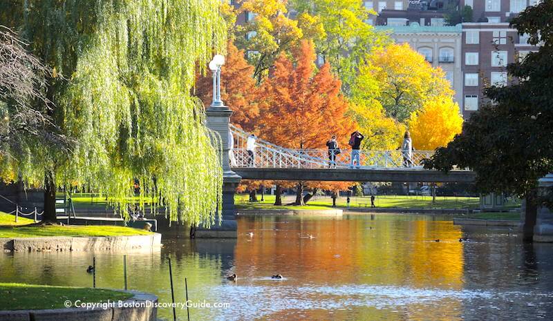 Boston weather in November - Fall foliage in the Public Garden