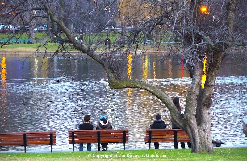 Mid-December in Boston's Public Garden Mid-December in Boston's Public Garden