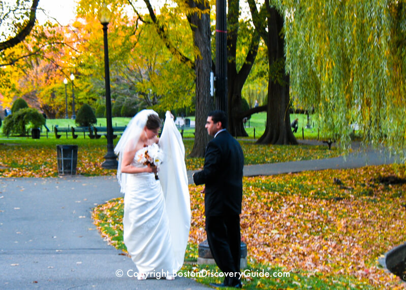 Bride and groom in the Public Garden Bride and groom in the Public Garden