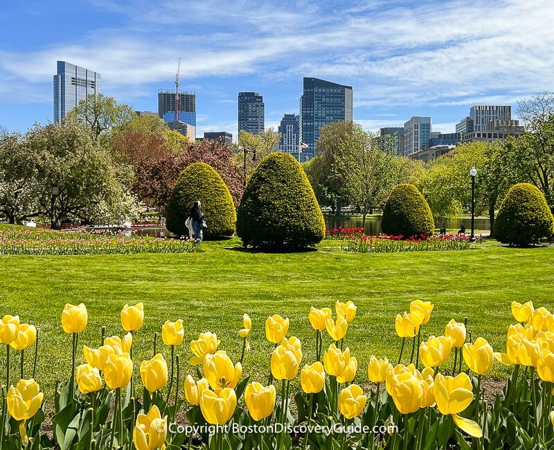Boston's Public Garden in early May, across the street from The Newbury Boston