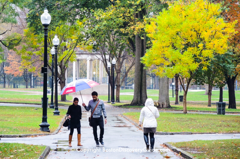 Boston Common on a rainy day in November