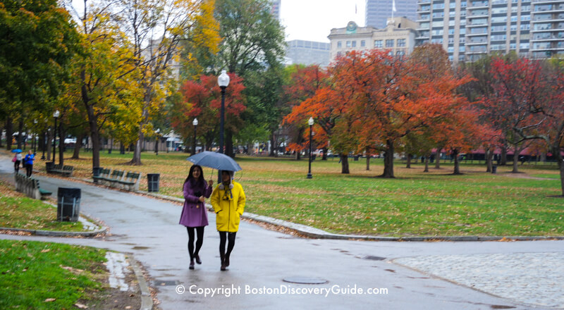 Walking across Boston Common in the rain Walking across Boston Common in the rain