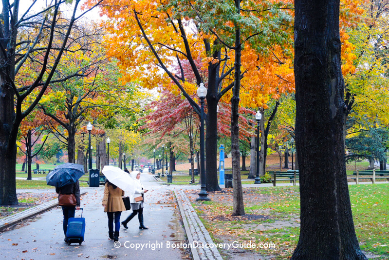 Boston Common on a rainy November afternoon