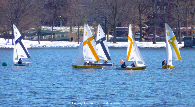 Winter frostbite sailing on the Charles River, with Boston's Esplanade in the background Winter frostbite sailing on the Charles River, with Boston's Esplanade in the background