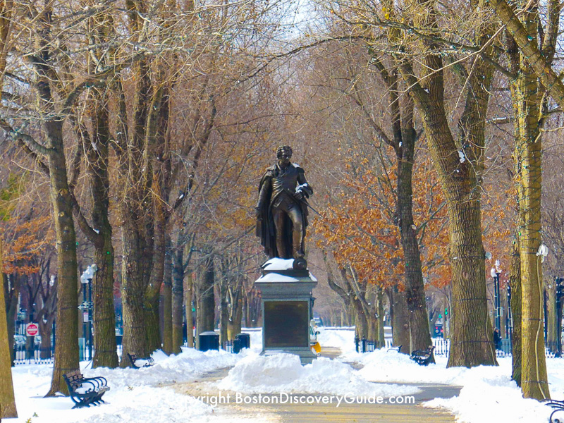 Winter walking tour of Boston: Commonwealth Avenue Mall