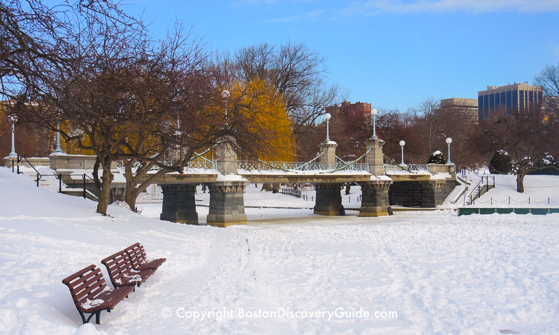 Winter walking tour of Boston: Public Garden Lagoon