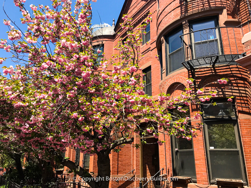 Boston neighborhoods:  Victorian era red brick row houses in the South End
