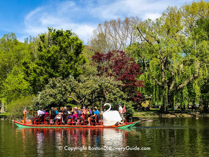 Swan Boats in Boston's Public Garden Swan Boats in Boston's Public Garden