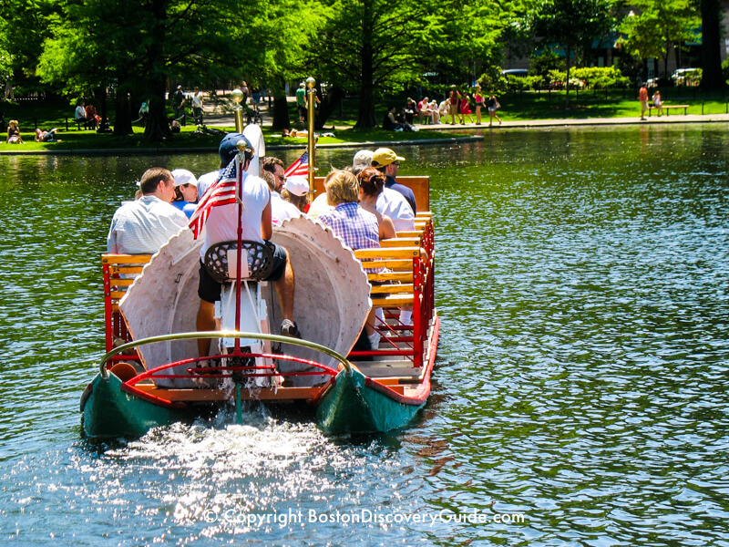 Look closely, and you can see the swan boat crew member pumping the pedals as he steers the boat around a curve Look closely, and you can see the swan boat crew member pumping the pedals as he steers the boat around a curve