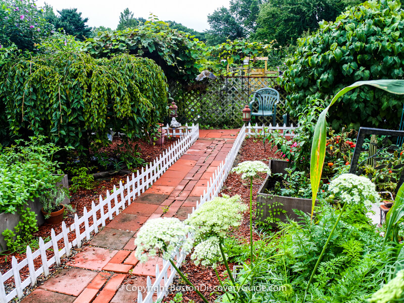 Although this garden contains a couple of beautiful small specimum trees such as the dwarf weeping cherry on the left, the raised beds contain a variey of herbs and vegetables, such as the tomatoes in the bed on the right