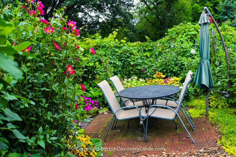 Secluded seating area - perfect for a Sunday afternoon brunch