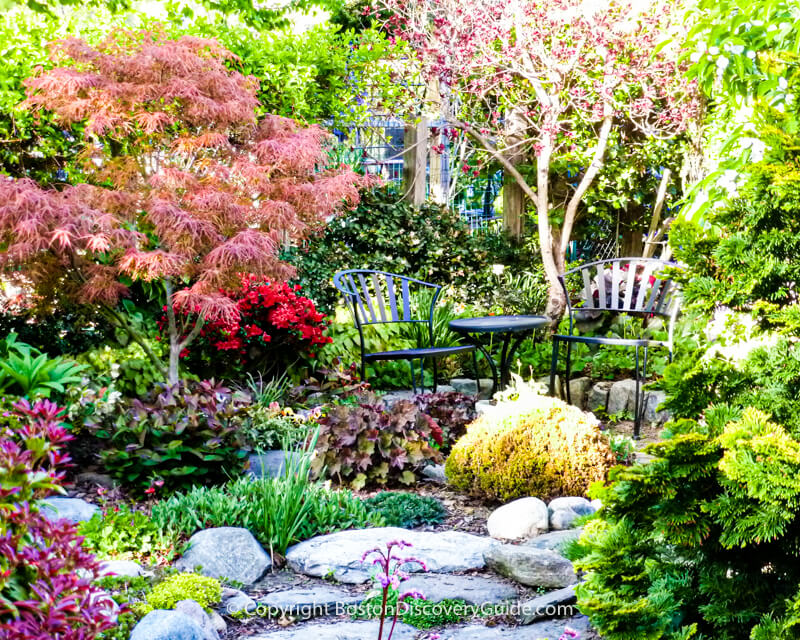 Rock garden in the Victory Gardens