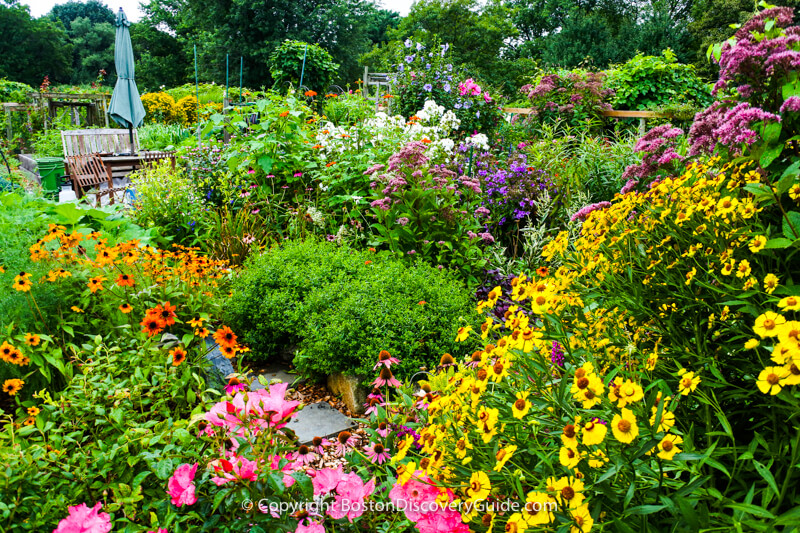 
This garden, which seems to be a double-sized plot, contains masses of flowers, a stone walk, and patio seating complete with an umbrella