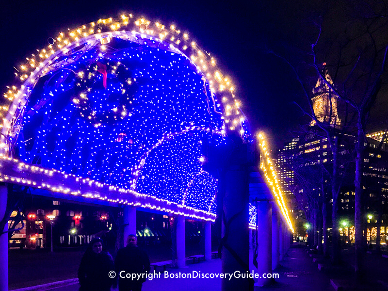 Christmas Lights on Trellis in Columbus Park, Boston