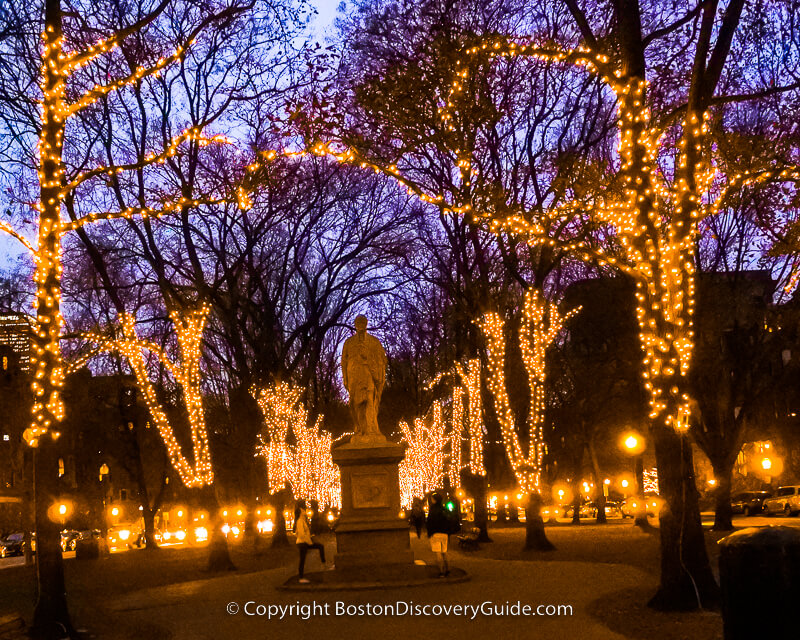 Golden Christmas lights on Commonwealth Avenue Mall frame lighted buildings in Downtown Boston