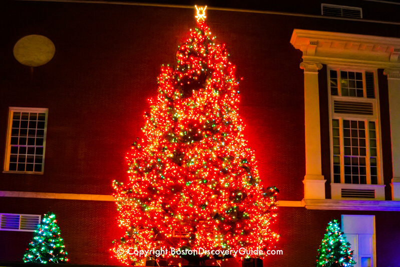 boston christmas tree lighting 2020 Boston Christmas Tree Lighting Events Schedule 2020 Boston Discovery Guide boston christmas tree lighting 2020