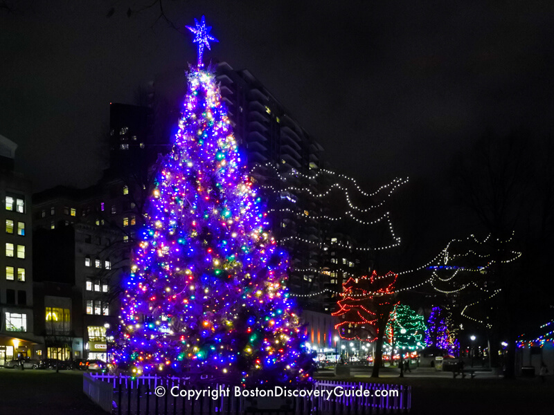 árvores de Natal no centro de Boston cruzando 