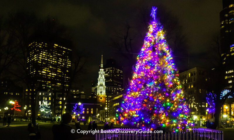 boston christmas tree lighting 2020 Boston Christmas Tree Lighting Events Schedule 2020 Boston Discovery Guide boston christmas tree lighting 2020