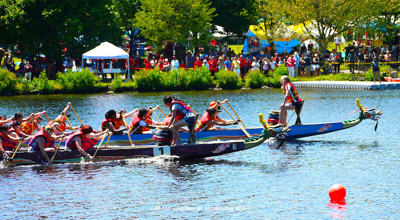 Dragon boats participating in Boston Dragon Boat Festival - photo courtesy of Madeleine Ball Dragon boats participating in Boston Dragon Boat Festival - photo courtesy of Madeleine Ball