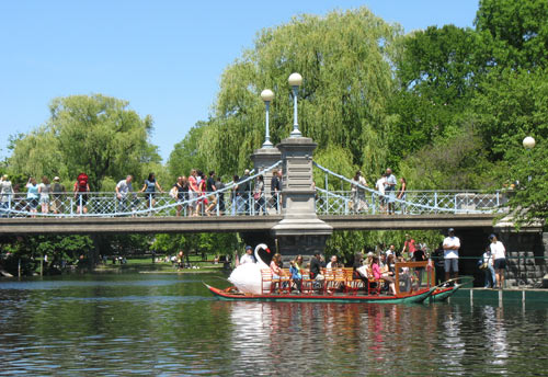 swan boats in boston garden boston swan boats top public garden attraction swan boats in boston garden boston swan boats top public garden attraction