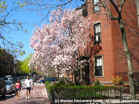Boston Weather in April