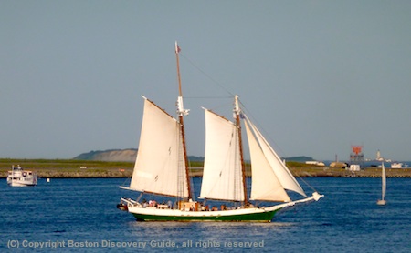 Photo of Liberty Clipper and Boston Light