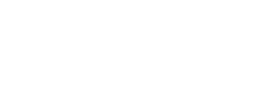 Boston Discovery Guide